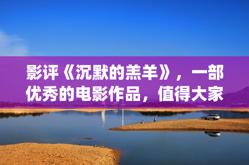 影评《沉默的羔羊》，一部优秀的电影作品，值得大家去观看！(沉默的电影片段)