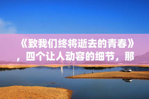 《致我们终将逝去的青春》，四个让人动容的细节，那是你的青春吗(致我们终将逝去的青春 辛夷坞)