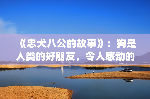 《忠犬八公的故事》：狗是人类的好朋友，令人感动的真实故事(忠犬八公的故事电影免费观看完整版)