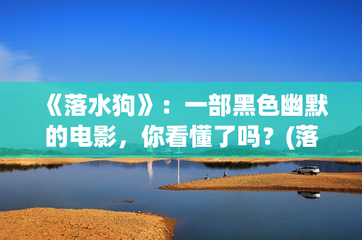 《落水狗》：一部黑色幽默的电影，你看懂了吗？(落水狗打三数字)
