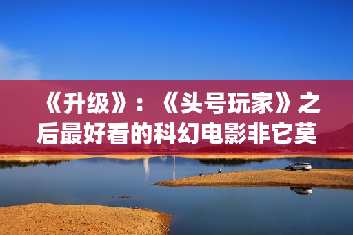 《升级》：《头号玩家》之后最好看的科幻电影非它莫属(升级头像)