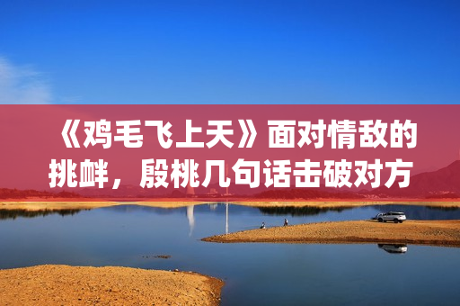 《鸡毛飞上天》面对情敌的挑衅，殷桃几句话击破对方(《鸡毛飞上天》电视剧)