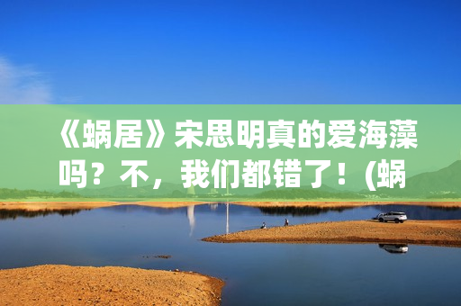 《蜗居》宋思明真的爱海藻吗？不，我们都错了！(蜗居宋思明老丈人是什么官)
