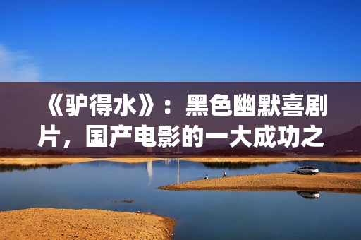 《驴得水》：黑色幽默喜剧片，国产电影的一大成功之作！(驴得水原版)