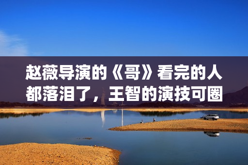 赵薇导演的《哥》看完的人都落泪了，王智的演技可圈可点！(哥赵薇作品)