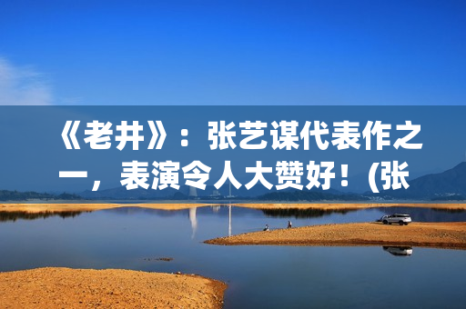 《老井》：张艺谋代表作之一，表演令人大赞好！(张艺谋演老井多大了)