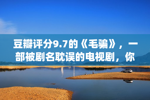 豆瓣评分9.7的《毛骗》,一部被剧名耽误的电视剧,你看过没?(豆瓣评分高达9分以上) 豆瓣评分9.7的《毛骗》,一部被剧名耽误的电视剧,你看过没?(豆瓣评分高达9分以上)