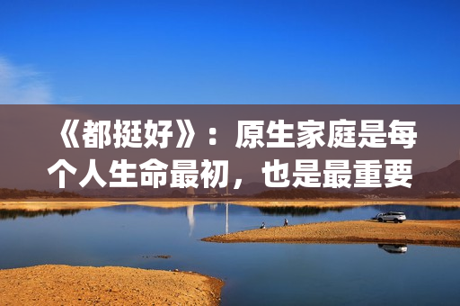 《都挺好》：原生家庭是每个人生命最初，也是最重要的关系。(都挺好原著苏明成在监狱经历了什么)