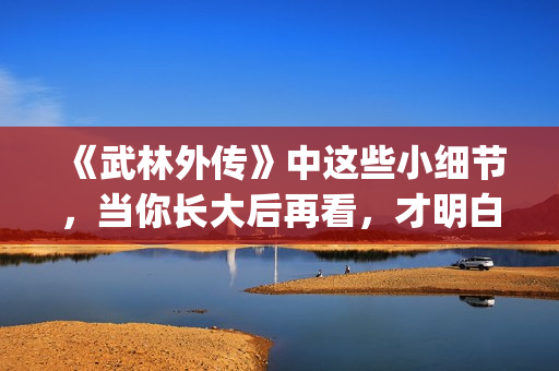 《武林外传》中这些小细节，当你长大后再看，才明白社会的险恶！(武林外传中郭巨侠在家排名老几)