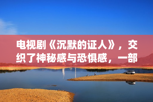 电视剧《沉默的证人》，交织了神秘感与恐惧感，一部经典的刑侦剧(电视剧《沉默的荣耀》)