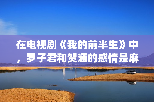 在电视剧《我的前半生》中，罗子君和贺涵的感情是麻烦出来的(我的电视剧叫什么)