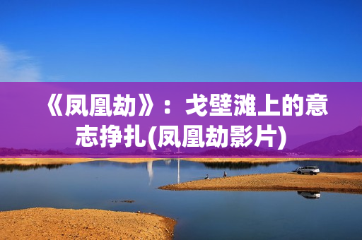 《凤凰劫》：戈壁滩上的意志挣扎(凤凰劫影片)