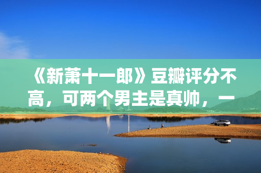 《新萧十一郎》豆瓣评分不高，可两个男主是真帅，一个比一个养眼(新萧十一郎免费观看完整版)