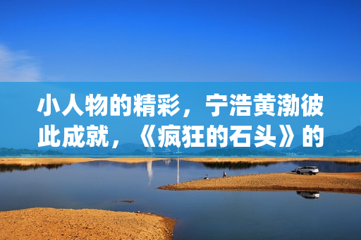 小人物的精彩，宁浩黄渤彼此成就，《疯狂的石头》的成功不无道理(小人物的精彩作文)