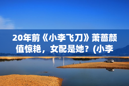20年前《小李飞刀》萧蔷颜值惊艳，女配是她？(小李飞力)