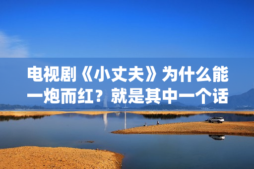 电视剧《小丈夫》为什么能一炮而红？就是其中一个话题，姐弟恋(电视剧《小丈夫》免费播放)