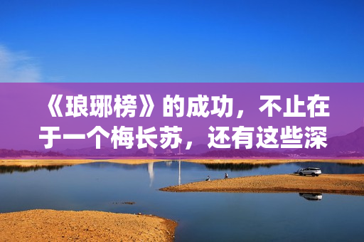 《琅琊榜》的成功，不止在于一个梅长苏，还有这些深入人心的角色(《琅琊榜》的成毅是谁)