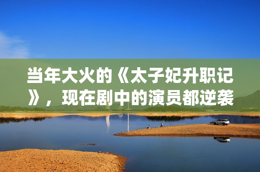 当年大火的《太子妃升职记》，现在剧中的演员都逆袭成功了(太一火的歌)