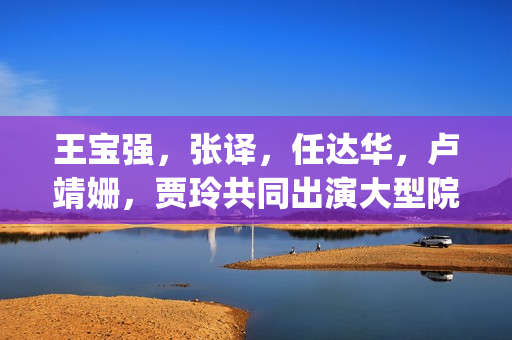 王宝强，张译，任达华，卢靖姗，贾玲共同出演大型院线爆笑喜剧《泰味儿》，或成为19年票房黑马？(王宝强张译悼念刁海明)