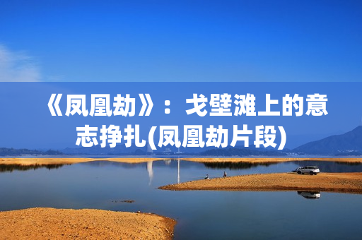《凤凰劫》：戈壁滩上的意志挣扎(凤凰劫片段)