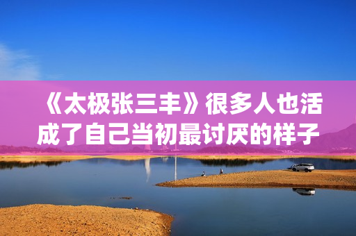 《太极张三丰》很多人也活成了自己当初最讨厌的样子(太极张三丰电影完整版免费)