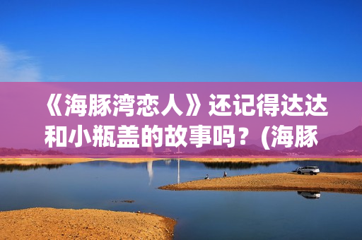 《海豚湾恋人》还记得达达和小瓶盖的故事吗？(海豚湾恋人剧情详细介绍)