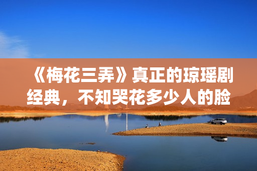 《梅花三弄》真正的琼瑶剧经典，不知哭花多少人的脸(梅花三弄讲的啥)