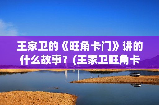 王家卫的《旺角卡门》讲的什么故事？(王家卫旺角卡门)