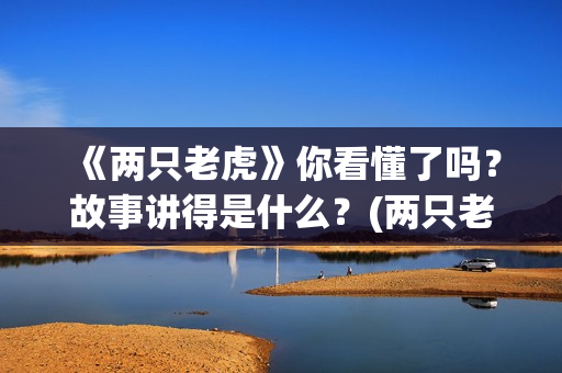 《两只老虎》你看懂了吗？故事讲得是什么？(两只老虎mtv)