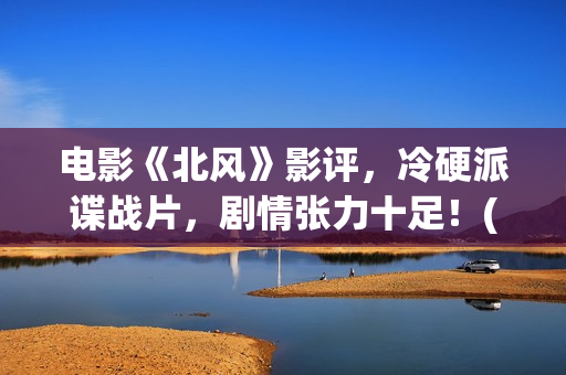 电影《北风》影评，冷硬派谍战片，剧情张力十足！(电影《北风》影评分析)