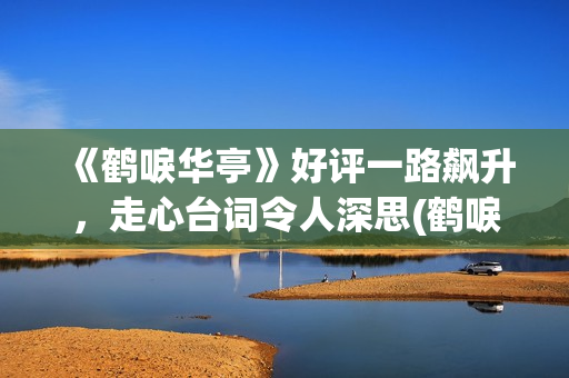 《鹤唳华亭》好评一路飙升，走心台词令人深思(鹤唳华亭太好看了)