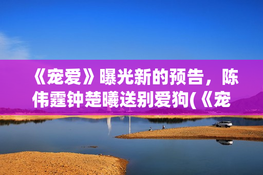《宠爱》曝光新的预告，陈伟霆钟楚曦送别爱狗(《宠爱》主演)