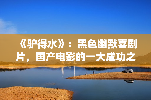 《驴得水》：黑色幽默喜剧片，国产电影的一大成功之作！(驴得水到底讲的是什么)