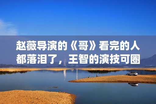 赵薇导演的《哥》看完的人都落泪了，王智的演技可圈可点！(赵薇终极作品《哥》完整版)