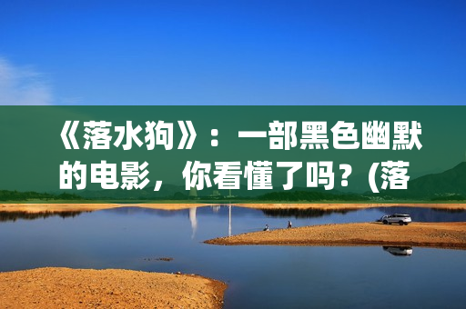 《落水狗》：一部黑色幽默的电影，你看懂了吗？(落水狗完整版)