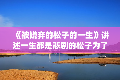 《被嫌弃的松子的一生》讲述一生都是悲剧的松子为了得到爱，一生都是取悦别人(被嫌弃的松子的一生经典台词)