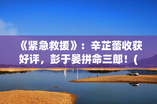 《紧急救援》：辛芷蕾收获好评，彭于晏拼命三郎！(紧急救援第九季)