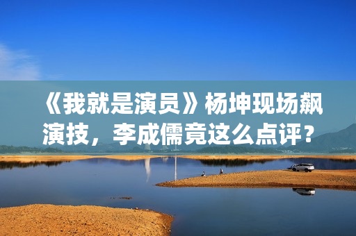 《我就是演员》杨坤现场飙演技，李成儒竟这么点评？(我就是演员叶祖新第几期)