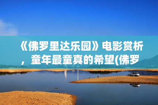 《佛罗里达乐园》电影赏析，童年最童真的希望(佛罗里达乐园百度百科)
