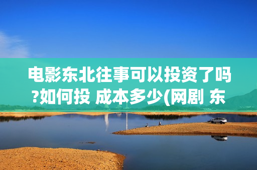 电影东北往事可以投资了吗?如何投 成本多少(网剧 东北往事)