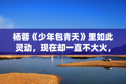 杨蓉《少年包青天》里如此灵动，现在却一直不大火，原因在这(少年包青天杨丽晓)