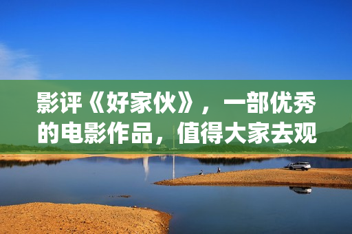 影评《好家伙》，一部优秀的电影作品，值得大家去观看！(电影《好家伙》)