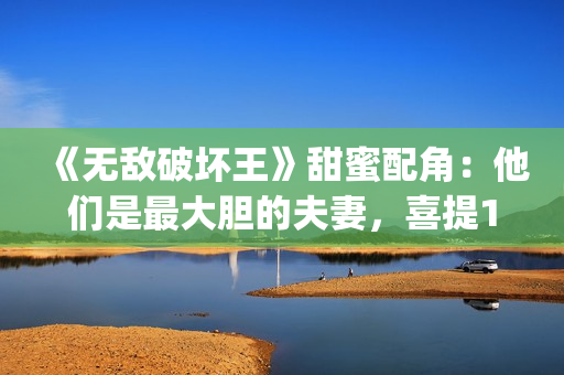 《无敌破坏王》甜蜜配角：他们是最大胆的夫妻，喜提15位家庭成员(《无敌破坏王》2)