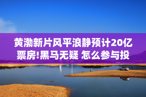 黄渤新片风平浪静预计20亿票房!黑马无疑 怎么参与投资(风平浪静黄渤出品方)