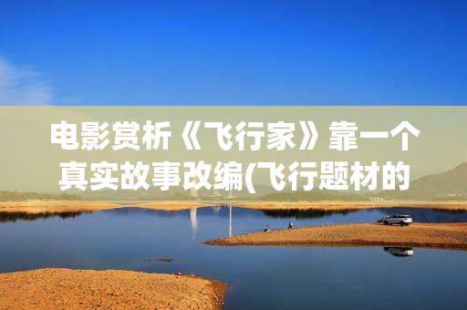电影赏析《飞行家》靠一个真实故事改编(飞行题材的电影电视剧)