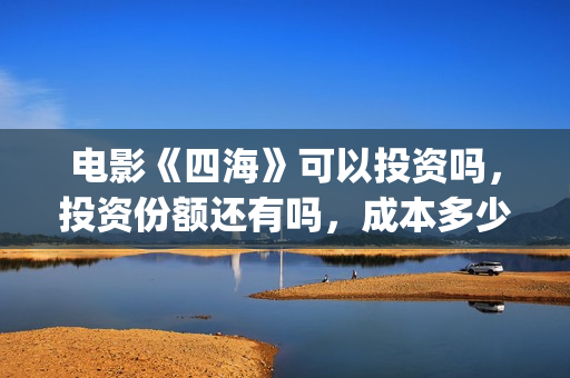 电影《四海》可以投资吗，投资份额还有吗，成本多少？(电影《四海》可以在哪看)