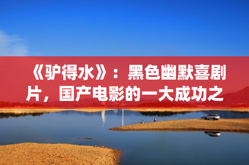 《驴得水》：黑色幽默喜剧片，国产电影的一大成功之作！(驴得水是真实的故事吗)