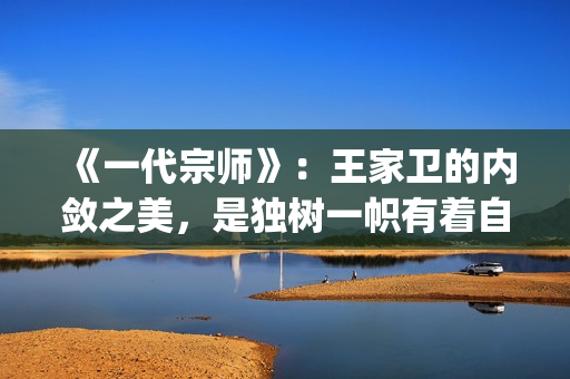 《一代宗师》：王家卫的内敛之美，是独树一帜有着自己独特味道的(一代宗师见天地 见众生 见自己)