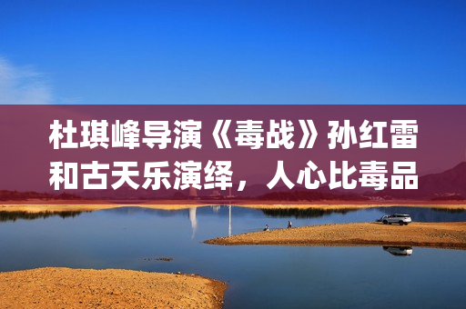 杜琪峰导演《毒战》孙红雷和古天乐演绎，人心比毒品更可怕(电影杜琪峰)