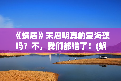 《蜗居》宋思明真的爱海藻吗？不，我们都错了！(蜗居宋思明海藻第一次在一起第几集)